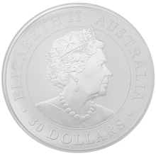 1 kilogram zilveren Koala munt - 2020