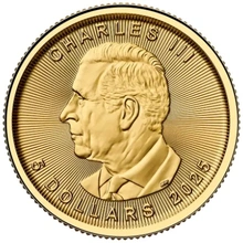 2025 1/10 Ons Gouden Maple Munt