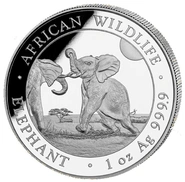 2024 1oz Afrikaanse Wilde Dieren Somalische Olifant Zilveren Munt