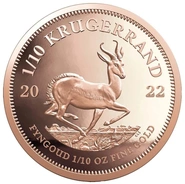 2022 1/10 Krugerrand Gouden Munt