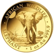 2026 1 oz Afrikaanse wilde dieren Olifant Gouden Munt