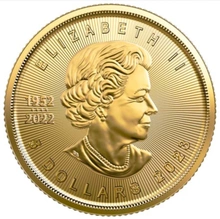 2023 1/10 Ons Gouden Maple Munt