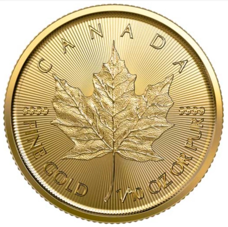 2023 1/10 Ons Gouden Maple Munt