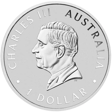2024 Australische Zilveren Zwaan Munt 1oz