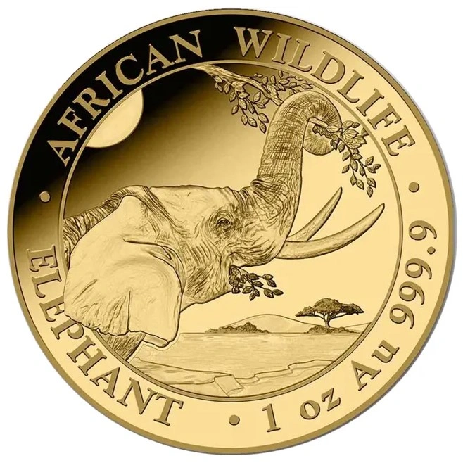 2023 1 Ons Somalische Olifant Gouden Munt
