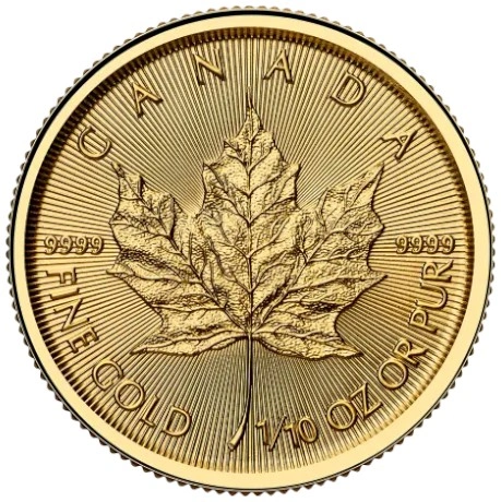 2025 1/10 Ons Gouden Maple Munt