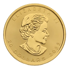 2022 Halve ons Gouden Maple