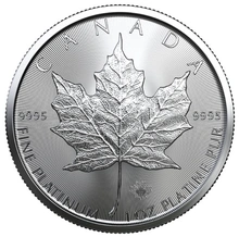 2022 1 Ons Canadian Maple Platina Munt