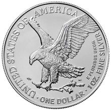 1oz Amerikaanse Eagle Zilveren Munt Beste Waarde