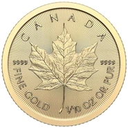 2024 1/10 Ons Gouden Maple Munt