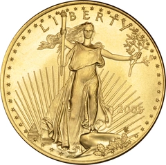 2005 1 troy ounce gouden American Eagle munt