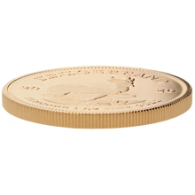1 troy ounce gouden Krugerrand munt - 2020