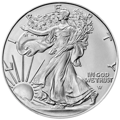 Zilveren Krugerrand munten