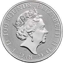 2019 1oz Platinum Britannia Coin