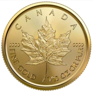 2023 1/10 Ons Gouden Maple Munt