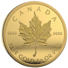 MapleGram25 Goud 2022