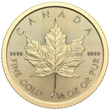2024 Kwart Ons Gouden Maple Munt