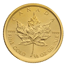 2022 Kwart Ons Gold Maple