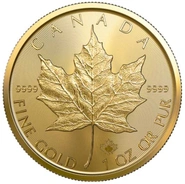 2023 1 Ons Canadian Maple Gouden Munt