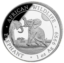 2024 1oz Afrikaanse Wilde Dieren Somalische Olifant Zilveren Munt