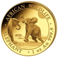 2024 1oz Somalische Olifant Gouden Munt