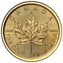 2025 1/10 Ons Gouden Maple Munt