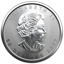 2022 1 Ons Canadian Maple Platina Munt