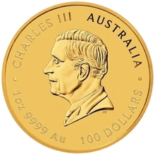 2025 1oz Perth Mint Jaar van de Slang Gouden Munt