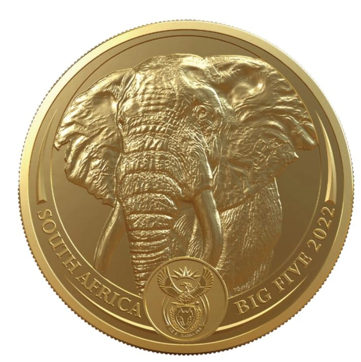 2022 Olifant - Big Five Series 1 Ons Gold Coin
