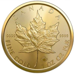 2023 1 troy ounce gouden Maple Leaf munt