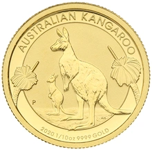 1/10 troy ounce gouden Kangaroo munt - 2020