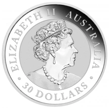2022 1KG Zilveren Kookaburra Munt