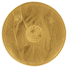 2024 Elephant Gouden Munt Big Five serie 1oz