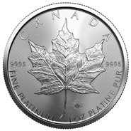 Platinum Maple