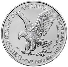 2023 1 Ons American Eagle Zilveren Munt