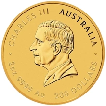 2025 Perth Mint Jaar van de Slang 2oz Gouden Munt