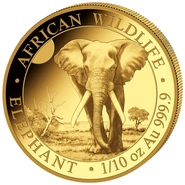2026 1/10 oz Afrikaanse wilde dieren Olifant Gouden Munt