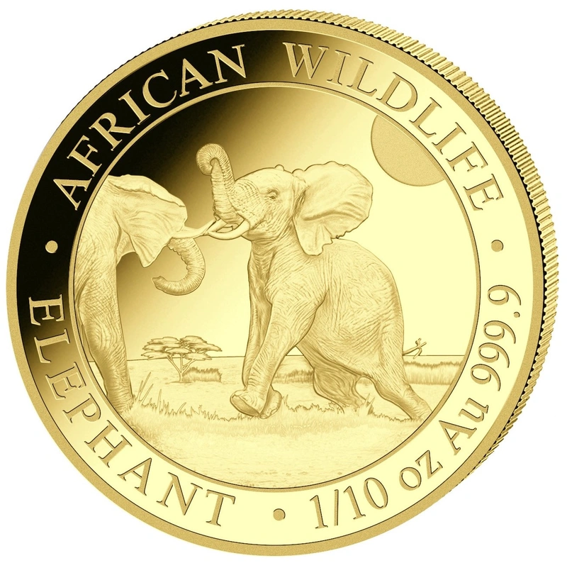 2024 1/10oz Somalische Olifant Gouden Munt