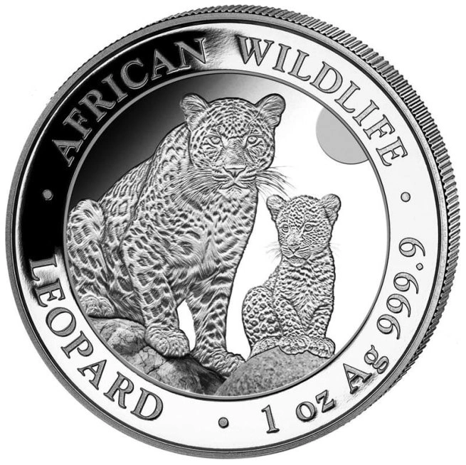 2024 1 oz African Wildlife Somalian Leopard Zilveren Munt