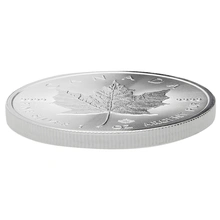 1 troy ounce zilveren Maple Leaf munt - 2020