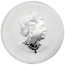 1 kilo zilveren Lunar munt - Muis - 2020