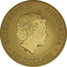 2015 1oz Gold Australian Nugget
