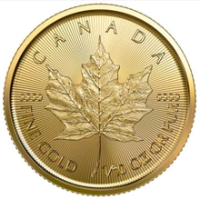 2023 1/10 Ons Gouden Maple Munt